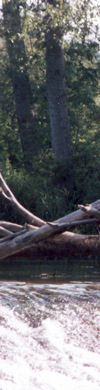 header links